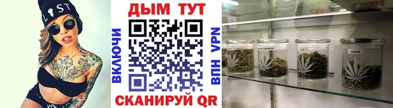 blacksprut зеркало  Дмитровск  Каннабис сатива 
